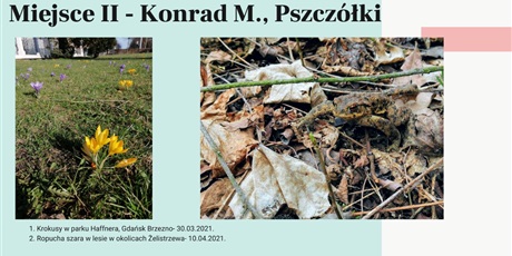 Powiększ grafikę: wyniki-konkursu-wiosna-w-obiektywie-265902.jpg