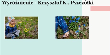 Powiększ grafikę: wyniki-konkursu-wiosna-w-obiektywie-265905.jpg