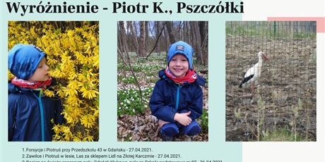 Powiększ grafikę: wyniki-konkursu-wiosna-w-obiektywie-265907.jpg